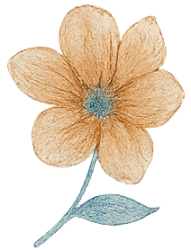Decoration