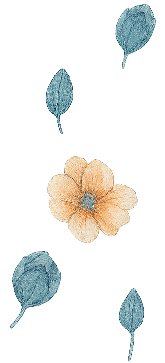 Decoration