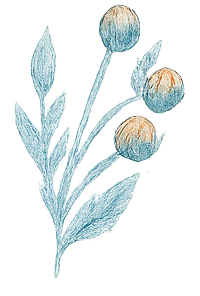 Decoration